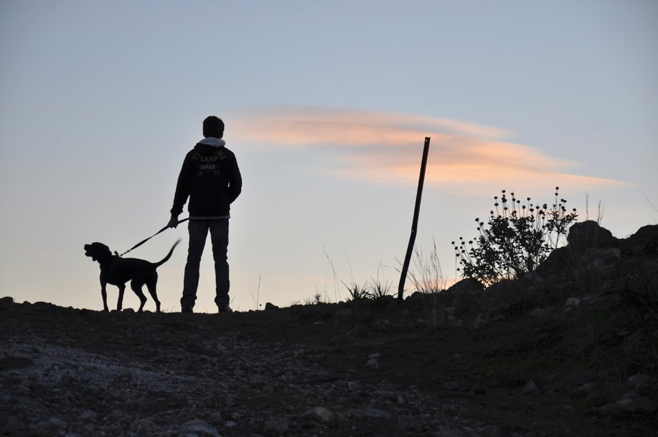 Forward ! with a friend