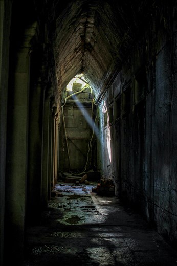Light playing it's game with jungle mist inside the temple