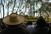 In the village Isla de Maipo the people is very devout of the Vigin Mary, specifically, the Virgen of la Merced. Every year, there is a peregrination arround the town to thank a miracle that happend almost 150 years ago.: by valeecheverria, Views[502]