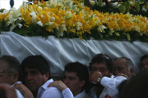 A group of volunteers called 