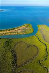 by valentinapearl, Views[474]