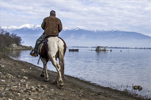 Horse Riding in the west coast of lake Kerkini 