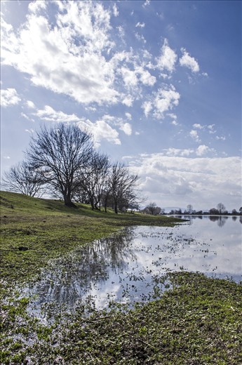View with trees and water on the Northeast of lake Kerkini