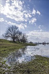 View with trees and water on the Northeast of lake Kerkini: by valis, Views[395]