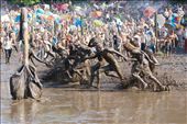 There is only one thing that is better for cooling ones body than water... Mud. : by valkaireka, Views[907]