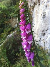 by valpal9, Views[125]