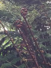 by valpal9, Views[202]