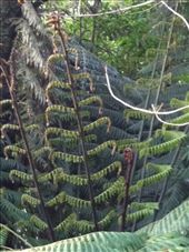 by valpal9, Views[134]