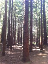 by valpal9, Views[138]