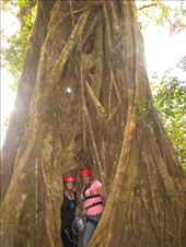 by valpal9, Views[234]