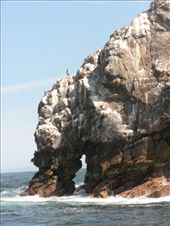 by valpal9, Views[220]