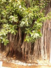 by valpal9, Views[255]