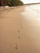 by valpal9, Views[228]