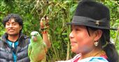 Beautiful woman holding parrot: by valpro, Views[255]