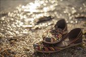 The festival shoes are parked to mark the end of 2012.: by vanessaindovino, Views[207]