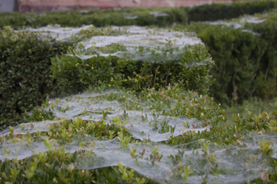 Romania, morning in Sigisoara