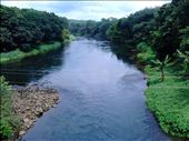 The town is named after the Muvattupuzha river  which flows through it: by vavachan, Views[363]
