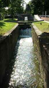 by veganliesa, Views[356]