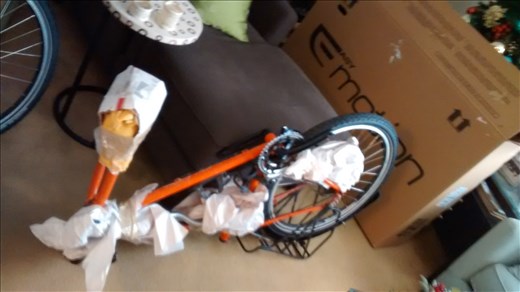 Joe's bike ready to go in it's box.  
Prep work includes removing pedals, handlebars (leave the stem attached), front wheel, front fender, and seat/seatpost.  Next tape the handlebars in the front triangle, add some padding/protection to keep the fork blades from popping through the box, and remove the rear derailieur and wrap it with some paper just in case.  Now it's time to put it in the box.  Before adding the front wheel in the box, remove the skewer, and put a layer of protective cardboard on each side of the hub.  Then just add the rest of the parts and tape it up!  Thanks to Adam at Adam Solar Rides for the sweet bike boxes!