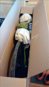 by veganliesa, Views[630]