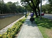 What we wish biking in Bangkok was!
This is next to the royal residence, this sweet path only lasted one block unfortunately. We enjoyed every second.: by veganliesa, Views[185]
