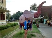 Adorable fabric elephant outside Museum of Siam: by veganliesa, Views[205]