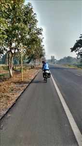 When the road was still flat....: by veganliesa, Views[212]