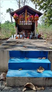 by veganliesa, Views[177]