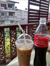 Guesthouse in Chiang Mai, nice morning: by veganliesa, Views[180]