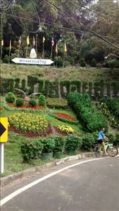 View of neat looking switchback going up and up...: by veganliesa, Views[173]