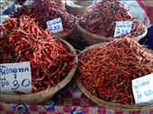 Chili peppers at the market: by veganliesa, Views[144]