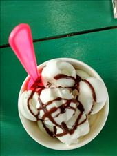 Joe's favorite dessert - coconut icecream from street cart that goes all over city with a bell to let you know they are coming. Yum!: by veganliesa, Views[178]