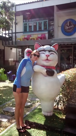 Coffee culture in Chiang Mai. I loved this cat