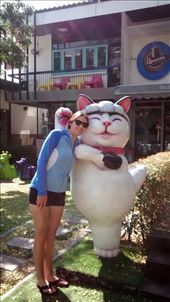 Coffee culture in Chiang Mai. I loved this cat: by veganliesa, Views[239]