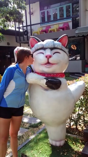 Chiang Mai cafes, endless fun