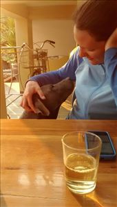 A true and loyal friend at Thaton guesthouse.: by veganliesa, Views[146]