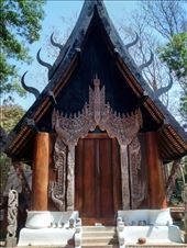 by veganliesa, Views[151]