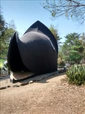 by veganliesa, Views[141]