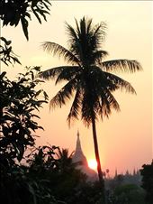 by veganliesa, Views[264]