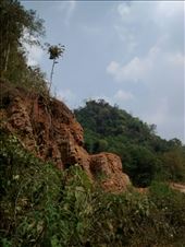 by veganliesa, Views[198]