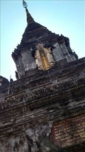 by veganliesa, Views[165]