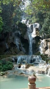 by veganliesa, Views[167]