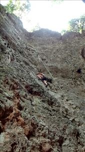 by veganliesa, Views[185]