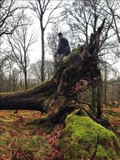 by verolix, Views[115]