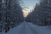 The car less roads out of Petrozavodsk remain empty surrounded only by the Pine forest: by vespa150, Views[252]