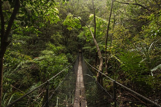 Swing bridge over Webb Creek.  With only a small amount of rainfall, the marked river crossings can flood to dangerous levels. Emergency bridges and flood detours were constructed to improve track safety.  
