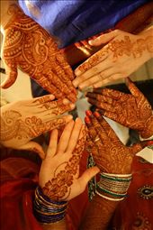 by viagarretoramericana, Views[319]