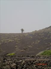 by vickey84, Views[211]