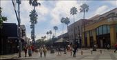 3rd Street Shopping (apparently one of the things to do here in Santa Monica): by vickey84, Views[248]