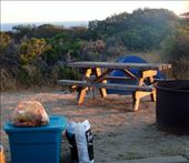 Tea on the brew on the worlds easiest camp stove: by vickey84, Views[196]